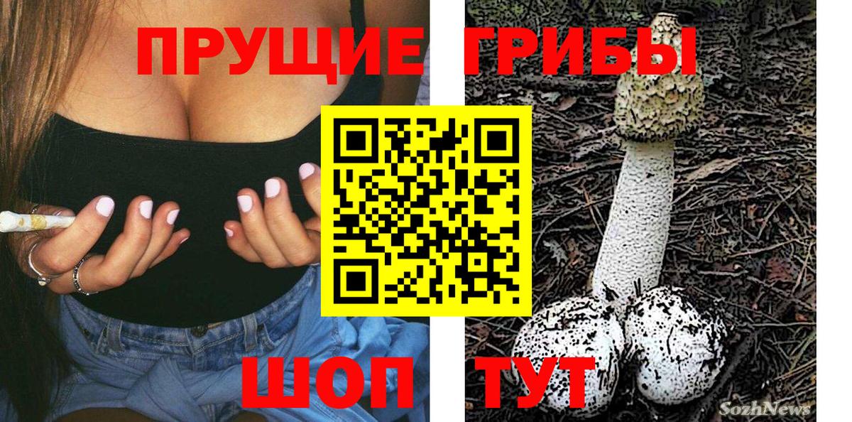 Псилоцибиновые грибы MAGIC MUSHROOMS Железноводск