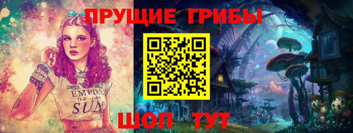 Железноводск  Псилоцибиновые грибы Cubensis  Вход с VPN 